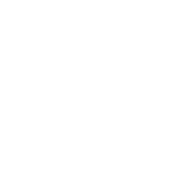 Netzmandat